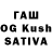 Канабис OG Kush marion shovlin