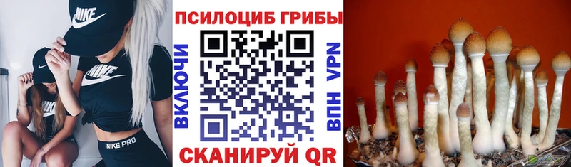 Галлюциногенные грибы MAGIC MUSHROOMS Железногорск